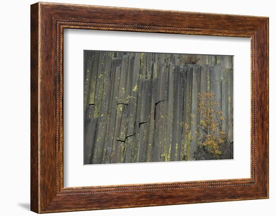 Devils Postpile, National Monument, Mammoth Mountain, Mammoth Lakes, California, USA-Gerry Reynolds-Framed Photographic Print