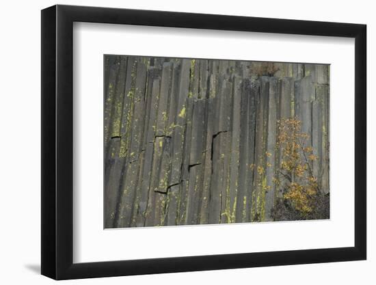 Devils Postpile, National Monument, Mammoth Mountain, Mammoth Lakes, California, USA-Gerry Reynolds-Framed Photographic Print
