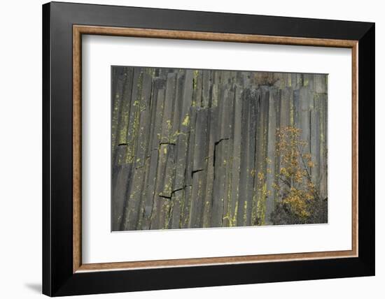 Devils Postpile, National Monument, Mammoth Mountain, Mammoth Lakes, California, USA-Gerry Reynolds-Framed Photographic Print