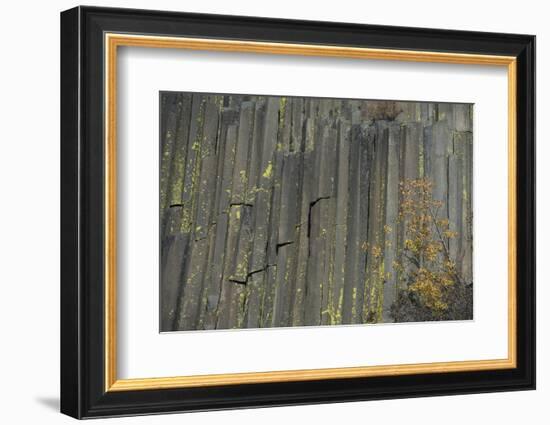 Devils Postpile, National Monument, Mammoth Mountain, Mammoth Lakes, California, USA-Gerry Reynolds-Framed Photographic Print