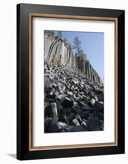 Devils Postpile, National Monument, Mammoth Mountain, Mammoth Lakes, California, USA-Gerry Reynolds-Framed Photographic Print