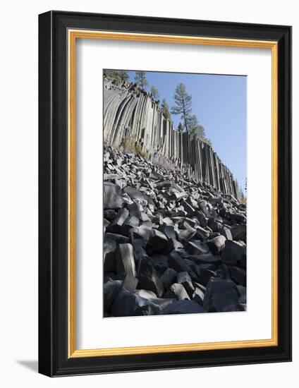 Devils Postpile, National Monument, Mammoth Mountain, Mammoth Lakes, California, USA-Gerry Reynolds-Framed Photographic Print