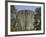 Devils Tower National Monument, East Wyoming, USA-Pete Oxford-Framed Photographic Print