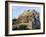 Devin Castle, 15th Century Gothic Ruin, Devin, Bratislava Region, Slovakia-Richard Nebesky-Framed Photographic Print