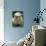 Devon and Cornwall Longwool Sheep-null-Mounted Photographic Print displayed on a wall