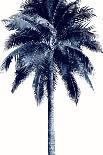 Palm Tree Blue I-Devon Davis-Art Print