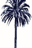 Palm Tree Blue I-Devon Davis-Art Print