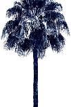 Beach Palms I-Devon Davis-Art Print