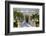 Devon House, Kingston, St. Andrew Parish, Jamaica, West Indies, Caribbean, Central America-Doug Pearson-Framed Photographic Print