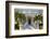 Devon House, Kingston, St. Andrew Parish, Jamaica, West Indies, Caribbean, Central America-Doug Pearson-Framed Photographic Print