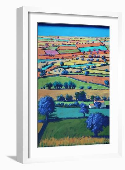 Devon II (Acrylic on Board)-Paul Powis-Framed Giclee Print