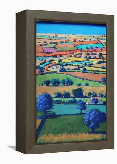 Devon II (Acrylic on Board)-Paul Powis-Framed Premier Image Canvas