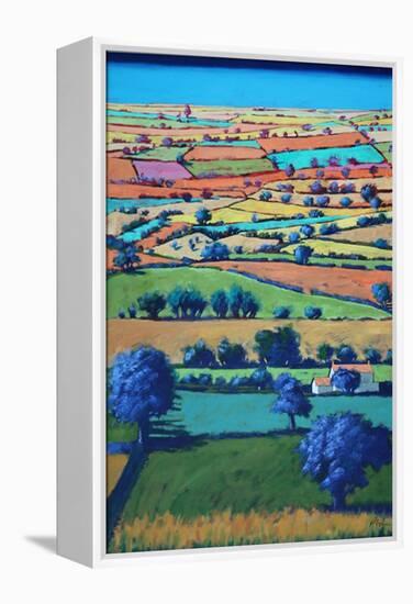 Devon II (Acrylic on Board)-Paul Powis-Framed Premier Image Canvas