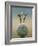 Devon Moon-Tim Hayward-Framed Giclee Print