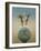 Devon Moon-Tim Hayward-Framed Giclee Print