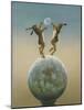 Devon Moon-Tim Hayward-Mounted Giclee Print