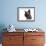 Devon Rex Cat-Fabio Petroni-Framed Photographic Print displayed on a wall