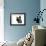 Devon Rex Cat-Fabio Petroni-Framed Photographic Print displayed on a wall