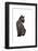 Devon Rex Cat-Fabio Petroni-Framed Photographic Print