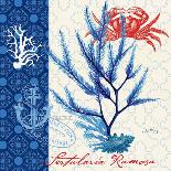 Moroccan Faded Global-Devon Ross-Art Print