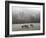 Devon Sheep, Exe Valley, Devon, England, United Kingdom, Europe-Jeremy Lightfoot-Framed Photographic Print