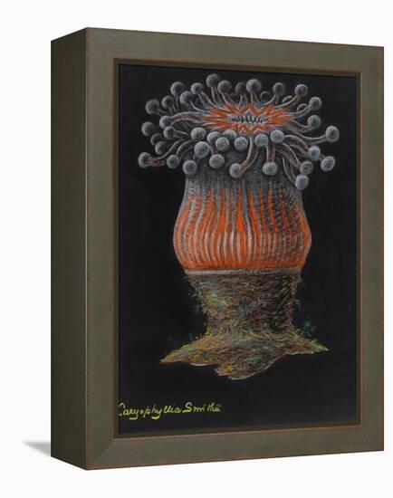 Devonshire Cup Coral-Philip Henry Gosse-Framed Premier Image Canvas