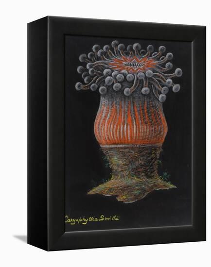 Devonshire Cup Coral-Philip Henry Gosse-Framed Premier Image Canvas