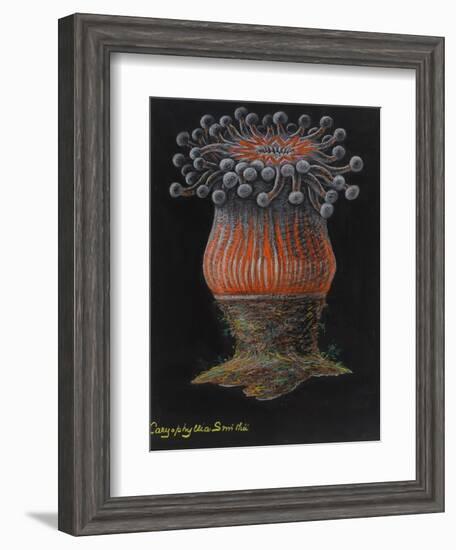 Devonshire Cup Coral-Philip Henry Gosse-Framed Giclee Print