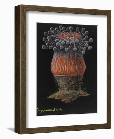 Devonshire Cup Coral-Philip Henry Gosse-Framed Giclee Print