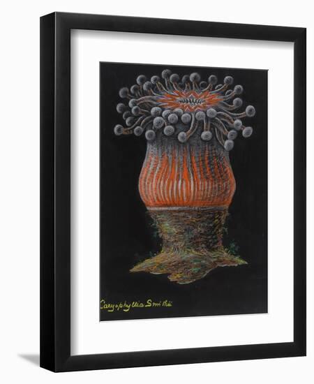 Devonshire Cup Coral-Philip Henry Gosse-Framed Giclee Print