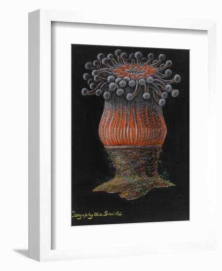 Devonshire Cup Coral-Philip Henry Gosse-Framed Giclee Print