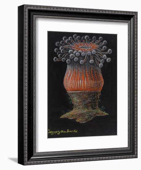 Devonshire Cup Coral-Philip Henry Gosse-Framed Giclee Print