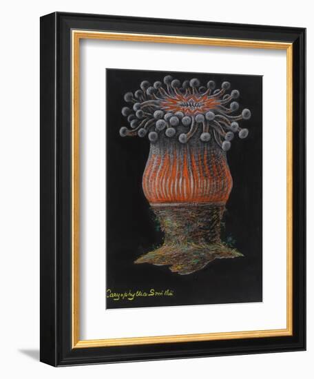 Devonshire Cup Coral-Philip Henry Gosse-Framed Giclee Print