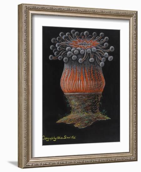 Devonshire Cup Coral-Philip Henry Gosse-Framed Giclee Print