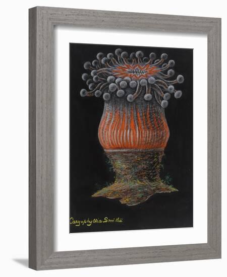 Devonshire Cup Coral-Philip Henry Gosse-Framed Giclee Print