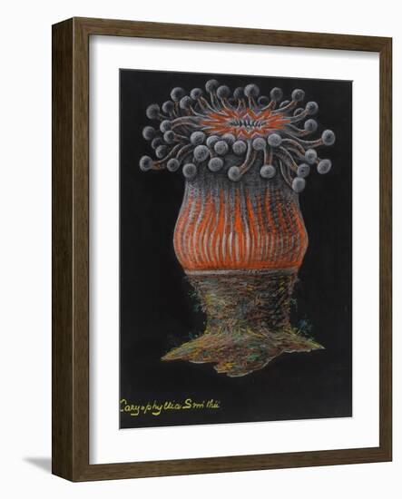 Devonshire Cup Coral-Philip Henry Gosse-Framed Giclee Print