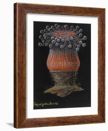 Devonshire Cup Coral-Philip Henry Gosse-Framed Giclee Print