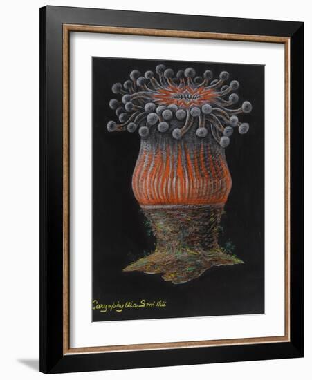 Devonshire Cup Coral-Philip Henry Gosse-Framed Giclee Print