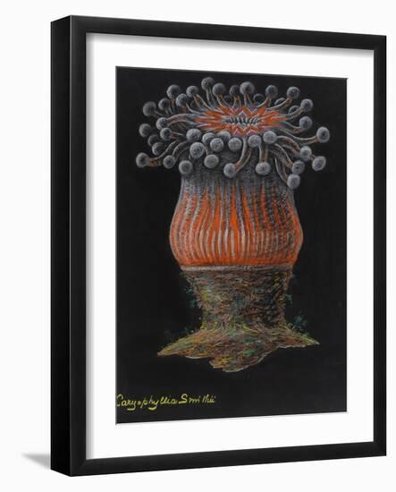 Devonshire Cup Coral-Philip Henry Gosse-Framed Giclee Print