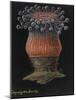 Devonshire Cup Coral-Philip Henry Gosse-Mounted Giclee Print