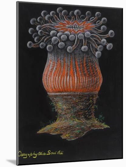 Devonshire Cup Coral-Philip Henry Gosse-Mounted Giclee Print