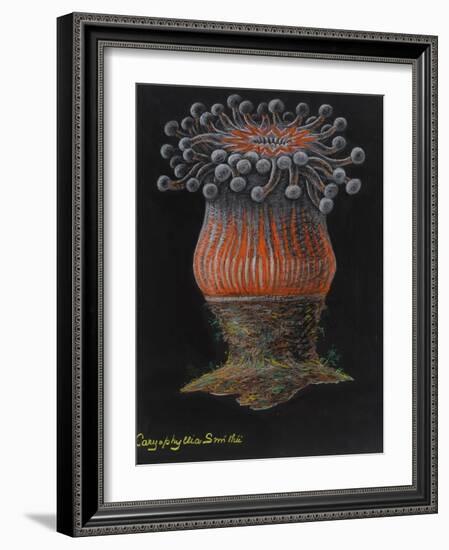 Devonshire Cup Coral-Philip Henry Gosse-Framed Giclee Print