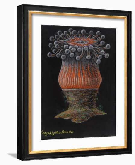 Devonshire Cup Coral-Philip Henry Gosse-Framed Giclee Print