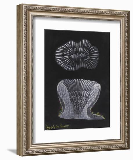 Devonshire Cup Coral-Philip Henry Gosse-Framed Giclee Print