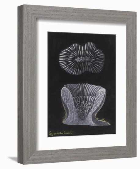 Devonshire Cup Coral-Philip Henry Gosse-Framed Giclee Print