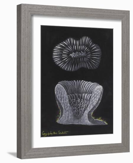 Devonshire Cup Coral-Philip Henry Gosse-Framed Giclee Print