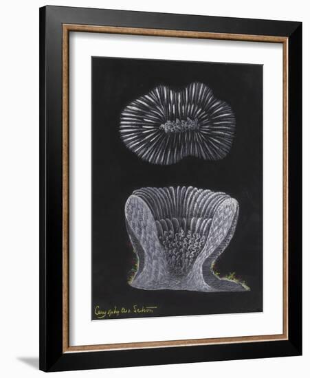 Devonshire Cup Coral-Philip Henry Gosse-Framed Giclee Print