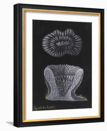 Devonshire Cup Coral-Philip Henry Gosse-Framed Giclee Print