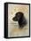 Devoted Friend-Ruane Manning-Framed Stretched Canvas