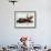 Devotees Immerse a Giant Clay Idol of Hindu Elephant-Headed God Ganesh into the Arabian Sea, Bombay-null-Framed Photographic Print displayed on a wall